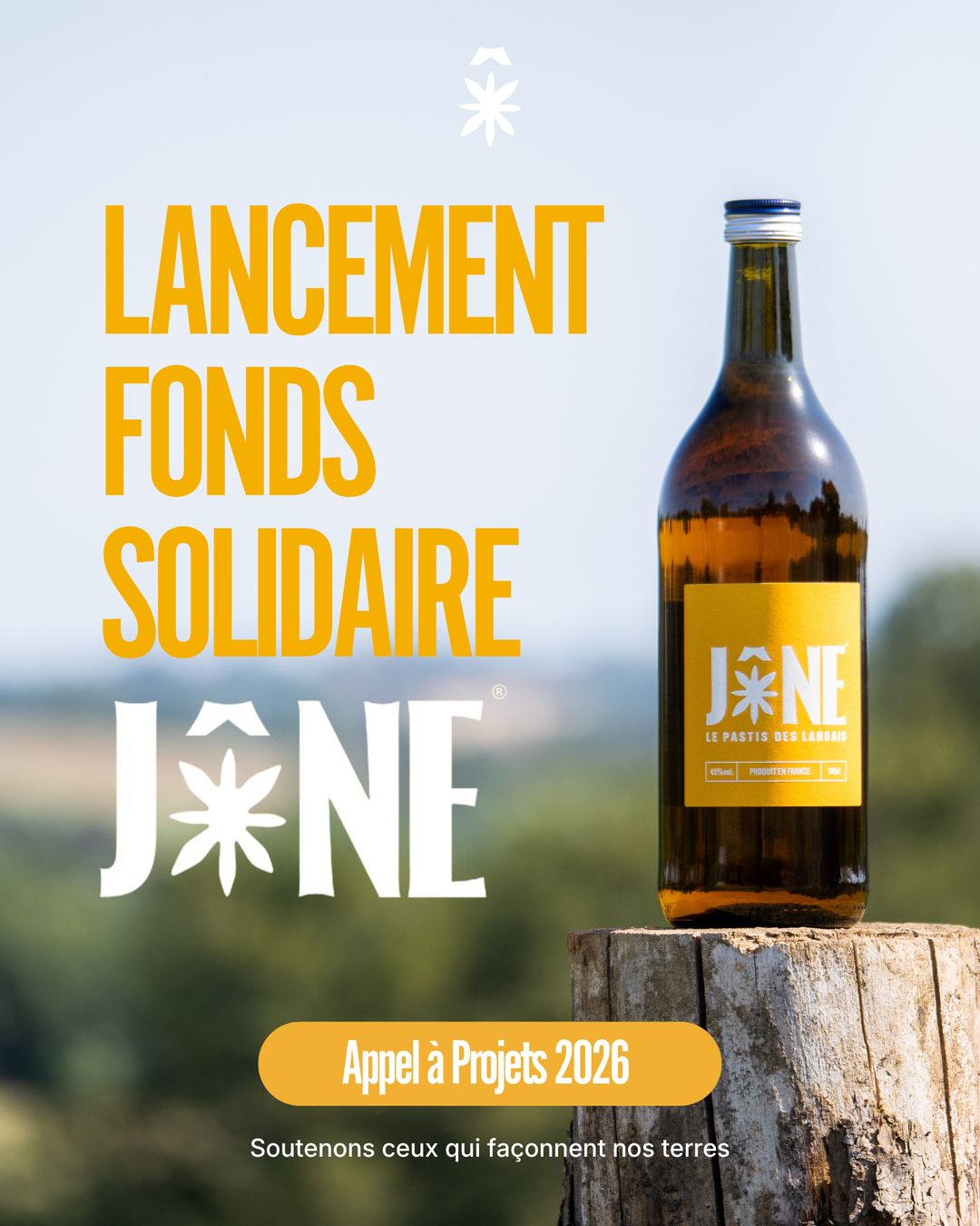 Campagne & réseaux pour JÔNE